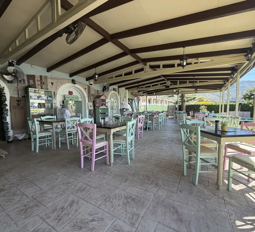 The terrace under the pergola at Cat Café Zepos Garden, pastel chairs at long tables and a cat crossing the tiles